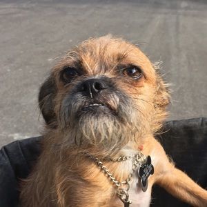 Meet your Posher, Steve